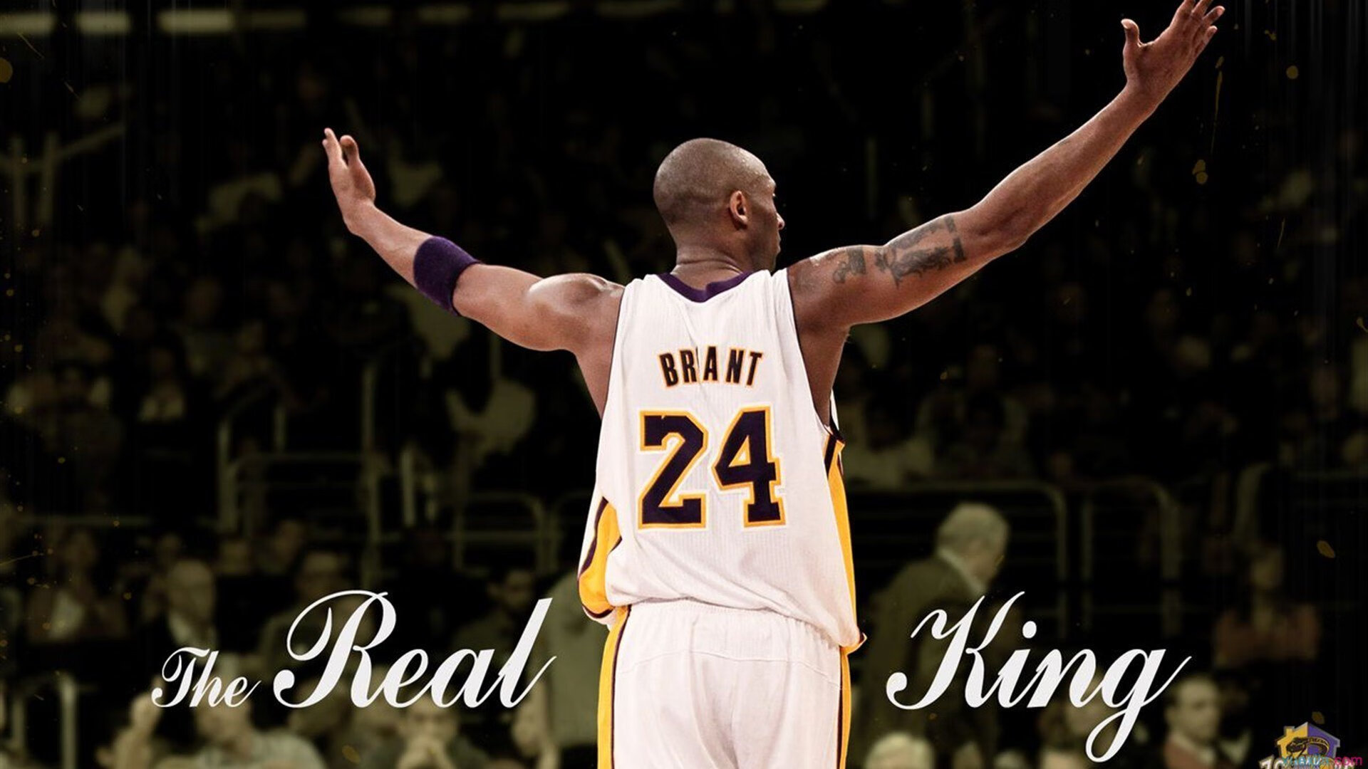 体育纪录片拍摄视角聚焦家庭支持力量，体育纪录片主题