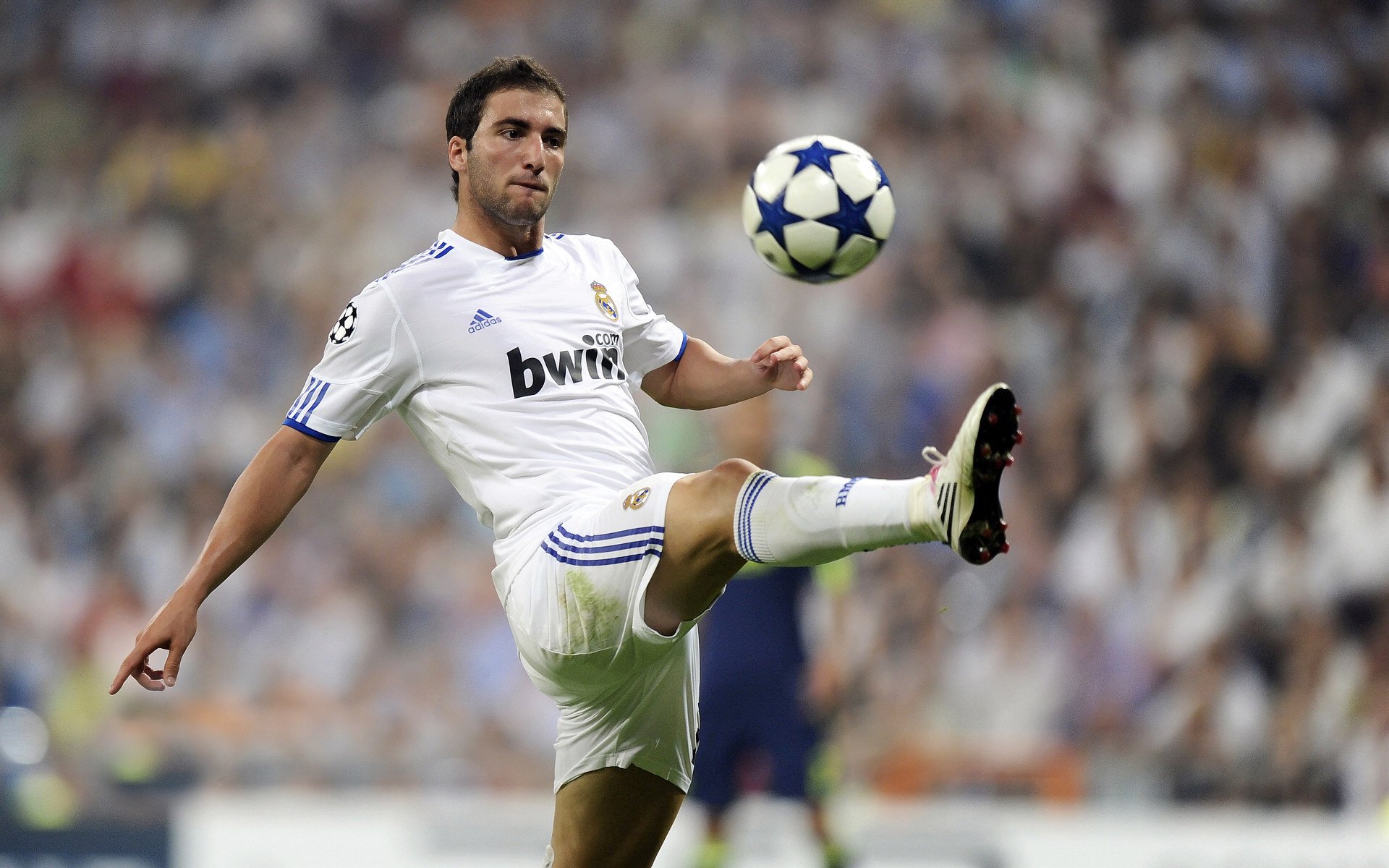 中超俱乐部开设球迷摄影培训班拓展内容创作群体，中超球员照片